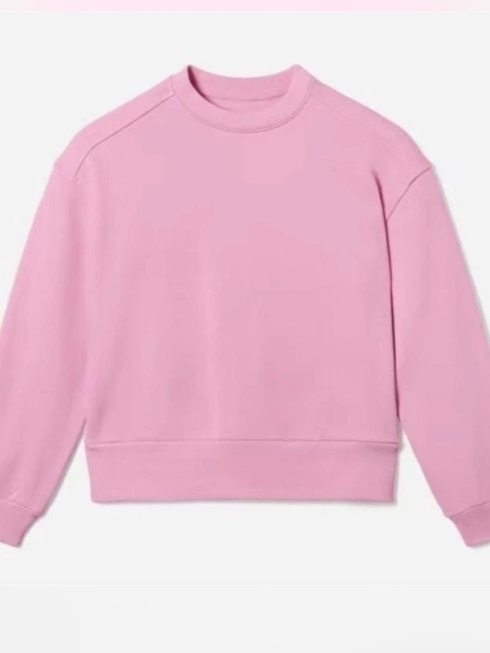 Everlane Lightweight Pink Crewneck Sweatshirt